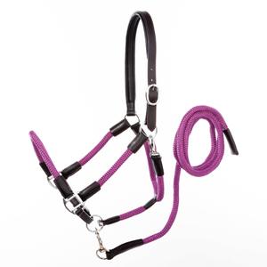 0290071150221-licol-pour-cheval-en-cuir-avec-corde-kavalkade-cavo-schwarz-lila