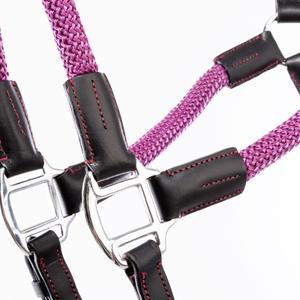product/k/a/kavalkade_290071150221_2.jpg