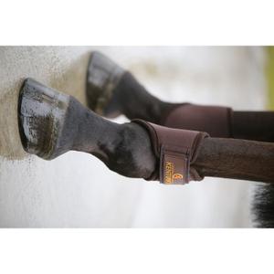product/k/e/kentucky_42307-05-f_2.jpg