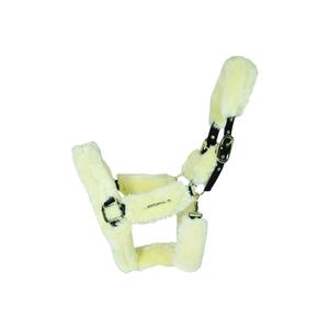 product/k/e/kentucky_42502-02_1.jpg