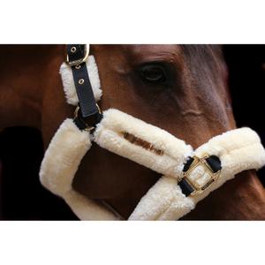 product/k/e/kentucky_42502-02_2.jpg
