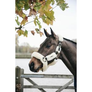 product/k/e/kentucky_42502-02_3.jpg