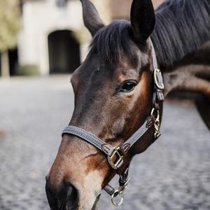 product/k/e/kentucky_42516-08-cob_grey_3.jpg