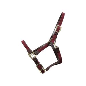 42516-17-licol-pour-cheval-nylon-tresse-kentucky-bordeaux