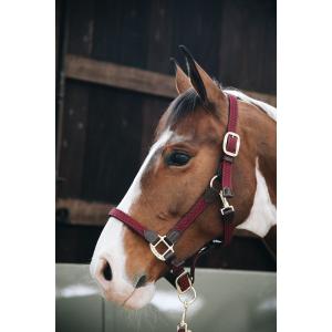 product/k/e/kentucky_42516-17-cob_bordeaux_2.jpg