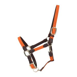 42516-45-licol-pour-cheval-nylon-tresse-kentucky-orange
