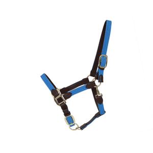 product/k/e/kentucky_42516-61-cob_light-blue_1.jpg