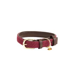 42517-17-collier-pour-chien-en-nylon-tresse-kentucky-rouge-bordeaux