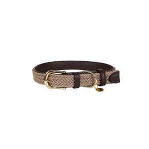 42517-32-collier-pour-chien-en-nylon-tresse-kentucky-beige