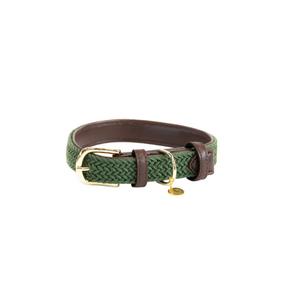 42517-74-collier-pour-chien-en-nylon-tresse-kentucky-vert