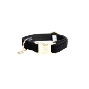 42533-01-collier-pour-chien-kentucky-corduroy-noir