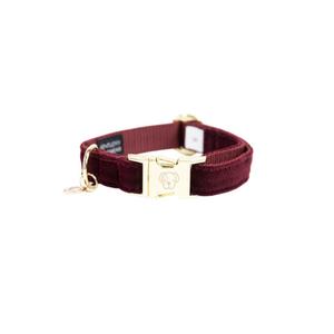 42533-17-collier-pour-chien-kentucky-corduroy-rouge-bordeaux