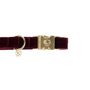 product/k/e/kentucky_42533-17-l_rouge-bordeaux_2.jpg