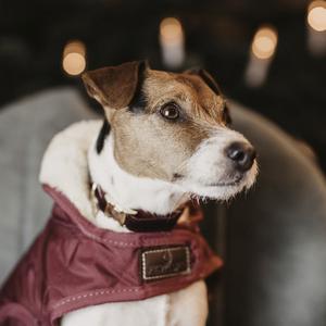 product/k/e/kentucky_42533-17-l_rouge-bordeaux_5.jpg