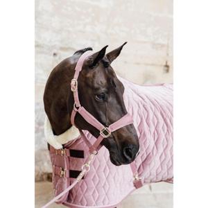 product/k/e/kentucky_42535-10-200_9.jpg