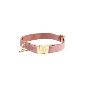 42538-10-collier-pour-chien-kentucky-velvet-old-rose