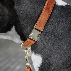 product/k/e/kentucky_42538-45-l_orange_2.jpg