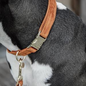 product/k/e/kentucky_42538-45-l_orange_3.jpg