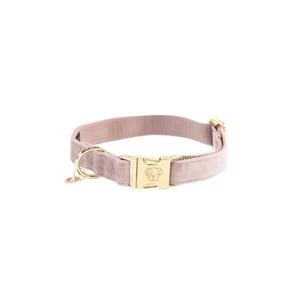 42538-50-collier-pour-chien-kentucky-velvet-soft-rose