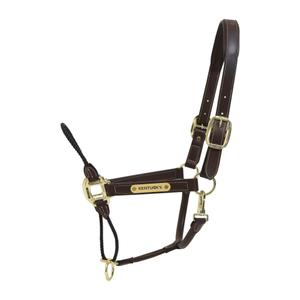 42540-05-licol-pour-cheval-en-cuir-kentucky-rope-brun