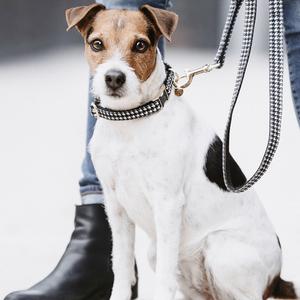 product/k/e/kentucky_42544-01-l_noir_3.jpg