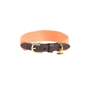 42546-45-collier-pour-chien-kentucky-jacquard-neon-orange