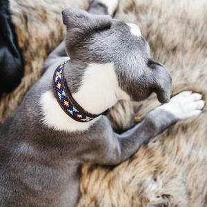 product/k/e/kentucky_42548-03-s_bleu-bleu_5.jpg