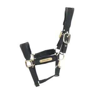 42558-01-p-licol-pour-cheval-kentucky-velvet-noir