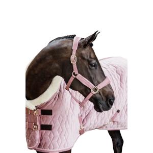 product/k/e/kentucky_42558-10-p_vieux-rose_1.jpg