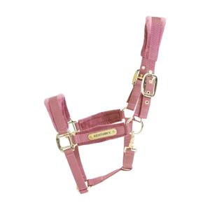 42558-10-p-licol-pour-cheval-kentucky-velvet-vieux-rose