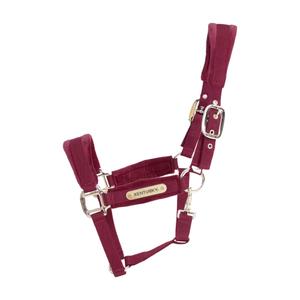 42558-17-p-licol-pour-cheval-kentucky-velvet-bordeaux