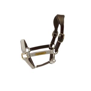 42560-32-licol-pour-cheval-anatomique-nylon-kentucky-beige