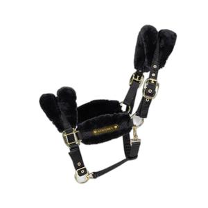 42565-01-licol-pour-cheval-mouton-kentucky-black