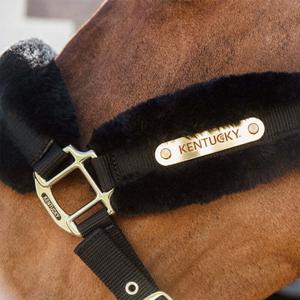 product/k/e/kentucky_42565-01-cob_black_3.jpg