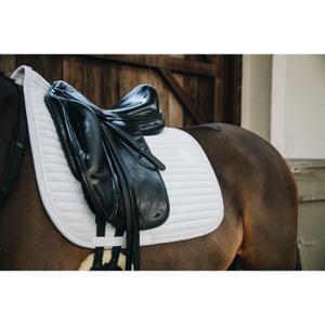 product/k/e/kentucky_42572-02_2.jpg