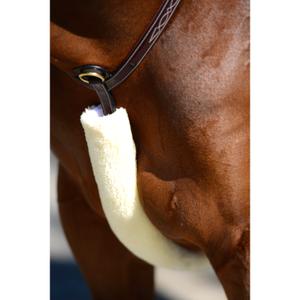 product/k/e/kentucky_42601-02-60_2.jpg