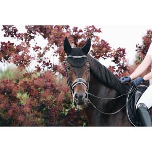product/k/e/kentucky_42610-01-f_2.jpg