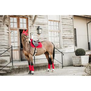 product/k/e/kentucky_42626-13-c_3.jpg