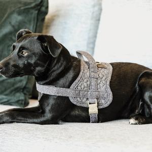 product/k/e/kentucky_42638-08-s_gris_3.jpg