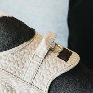 product/k/e/kentucky_42638-32-s_beige_4.jpg