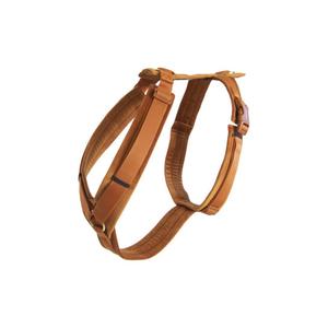 42640-45-harnais-pour-chien-actif-kentucky-velvet-orange