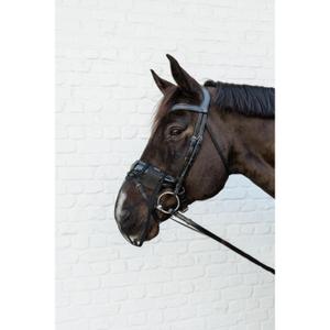 product/k/e/kentucky_42663-01-f_noir_2.jpg