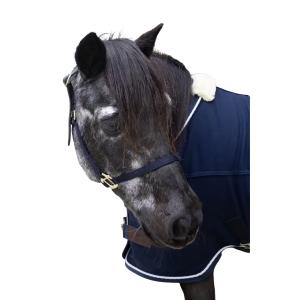 product/k/e/kentucky_42665-03-p_navy_1.jpg