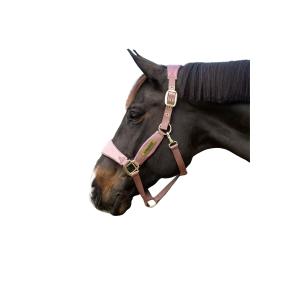 product/k/e/kentucky_42674-10-cob_vieux-rose_1.jpg