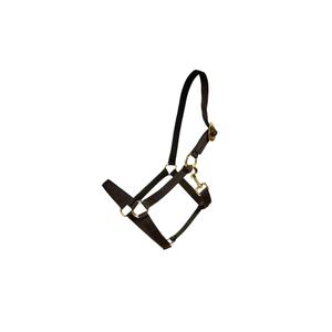 42675-03-c-licol-pour-cheval-nylon-kentucky-navy