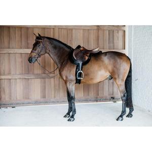 product/k/e/kentucky_42714-01-f_noir_6.jpg