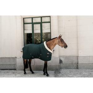 product/k/e/kentucky_52101-73_2.jpg
