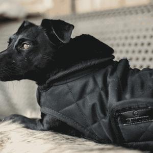 product/k/e/kentucky_52104-11-dh_noir-noir_2.jpg