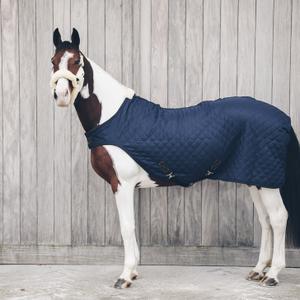 product/k/e/kentucky_52105-03-140_navy_2.jpg