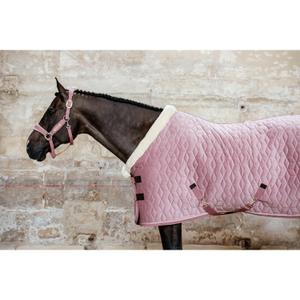 product/k/e/kentucky_52171-10_2.jpg